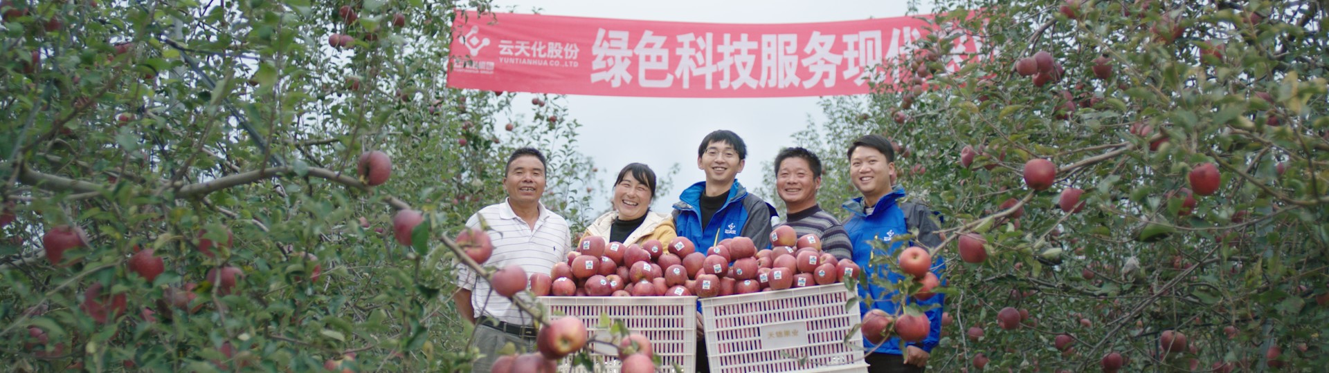 助農增收