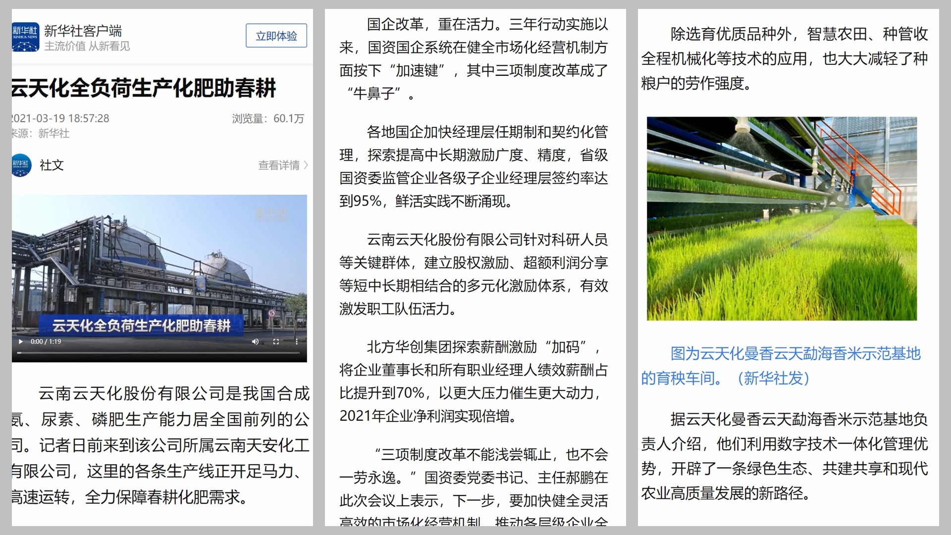 如何提升國企活力和效率？新華社以云天化作范例
